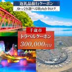 旅行クーポン 300,000円分