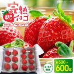 S186-001-03_ 朝摘み完熟イチゴセット