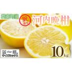 訳あり 河内晩柑 10kg