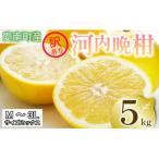 訳あり 河内晩柑 5kg
