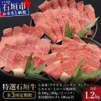 全3回合計1.2kgの焼肉セット 上赤身