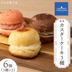 カスターケーキ プレーン 生チョコ イチゴ