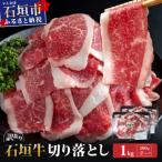 訳あり 石垣牛切り落とし 1kg