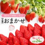 MIYA FARM いちご 品種:おまかせ