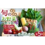 野菜セット 旬の野菜 9~10種類