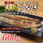 希少 天然 鰻 蒲焼 約4-6人前 600g