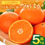 みはや 5kg
