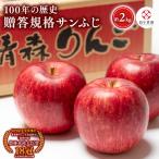 りんご サンふじ 約2kg