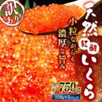 新物 紅鮭いくら醤油漬け 750g