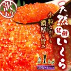 新物 天然紅鮭いくら 醤油漬け 1kg
