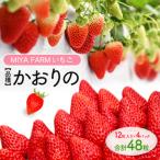 MIYA FARM いちご 品種:かおりの