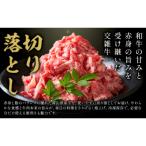 産牛 切り落とし 500g