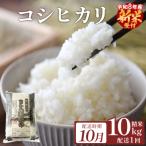 令和7年産 ササニシキ 精米 10kg