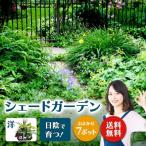 日陰で育つシェードガーデン 洋風 セット