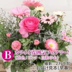 フェアリーな花苗セットB