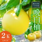 晩白柚 Lサイズ 2玉