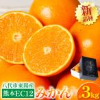熊本EC12みかん 約3kg