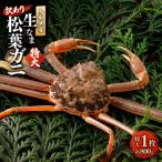 訳あり生松葉ガニ 特大1枚