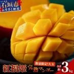 紅福姫ブランド 石垣島のマンゴー 約3kg