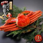 生松葉ガニ タグ付き 特大1枚