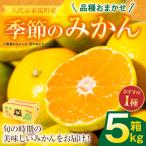 熊本EC11みかん 約5kg