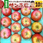 りんご サンふじ 約10kg