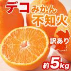 不知火 デコみかん 約5kg