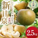Y482 新甘泉 赤秀 2.5kg