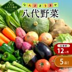 なんさまうまか八代野菜セット 5品以上
