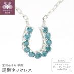 K10WG ブルーダイヤ0.07ct馬蹄ネックレス