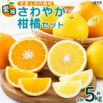 < さわやか柑橘セット 合計約5kg夕焼け山農園