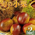 <旬の小栗 合計約2kg 産>宇都宮物産