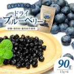 農家が本気で作ったドライブルーベリー 15g×6パック