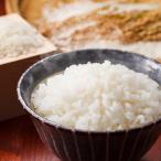 令和7年産 きぬむすめ 精白米5kg 岡山