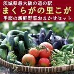 道の駅まくらがの里古河 季節の新鮮野菜おまかせセット