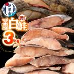 a20-488 訳あり 天然 白鮭 甘口 切身 約3kg