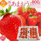 いちご あまおう 合計約800g 約400g×2パック