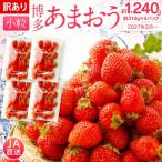 訳あり 小粒いちご あまおう 合計約1240g 約310g×4パック
