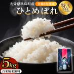 米 ひとめぼれ 白米 5kg