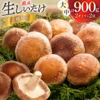 生しいたけ セット 約300g× 2袋
