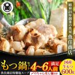 魚住商店 特製塩もつ鍋セット4~6人前