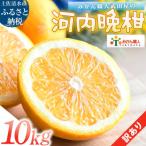 訳あり 河内晩柑 10kg