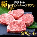 極厚 シャトーブリアン 約200g×4枚