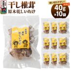 干し椎茸 原木乾しいたけ 40g×10袋