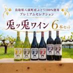 Y1088 産ぶどう100%使用プレミアムセレクション