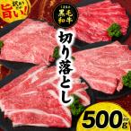 くまもと黒毛和牛 切り落とし 合計500g