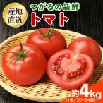 つがるの新鮮トマト 約4kg