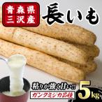長いも 5kg
