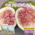 産いちじくセミドライフルーツ 50g×2袋セット