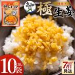 味付け 極しょうが 110g×10袋